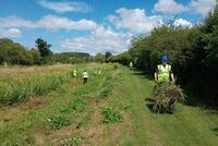 Clearing the canal banks