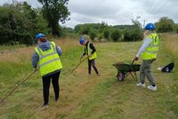 Scything the meadow area