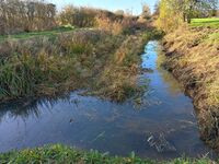 Canal reed clearing