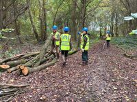 Log moving by Strutt & Parker volunteers