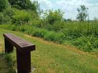 New bench near Tuckmill Brook