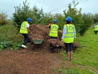 Cut reeds to the compost area